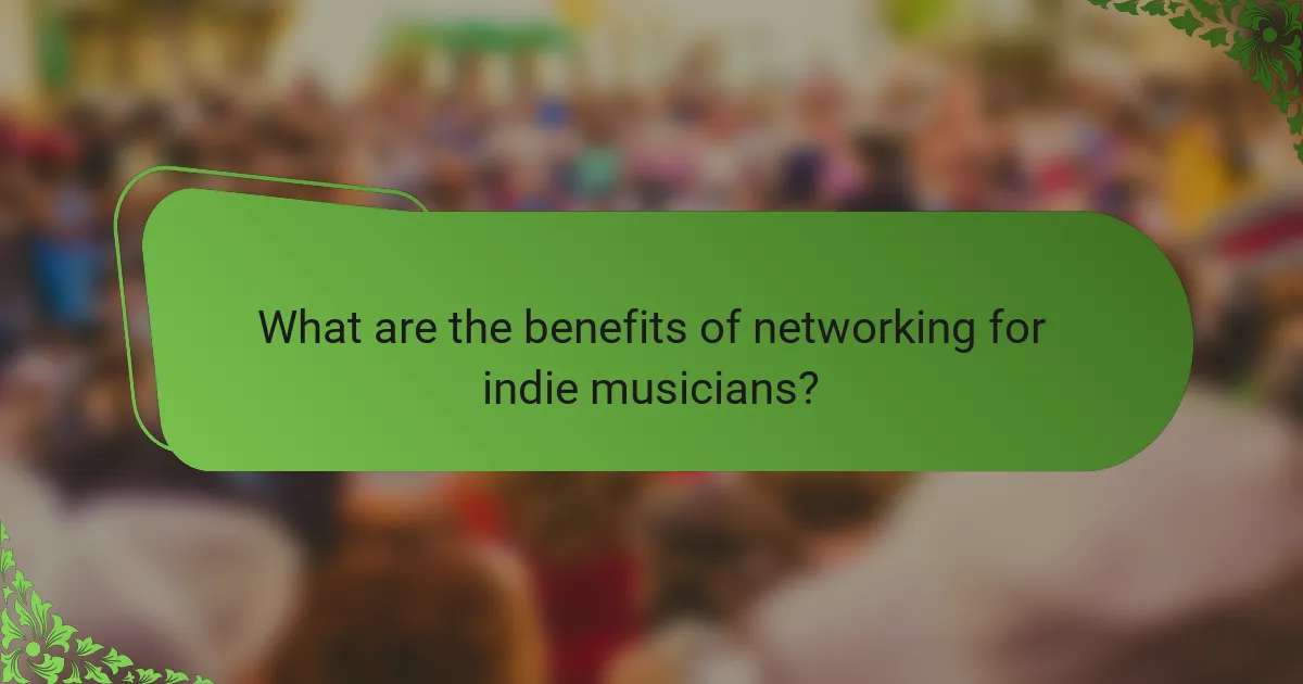 What are the benefits of networking for indie musicians?