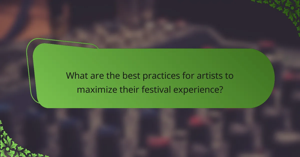 What are the best practices for artists to maximize their festival experience?