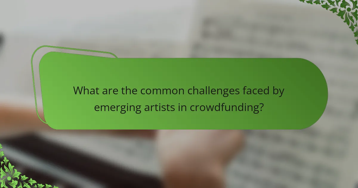 What are the common challenges faced by emerging artists in crowdfunding?