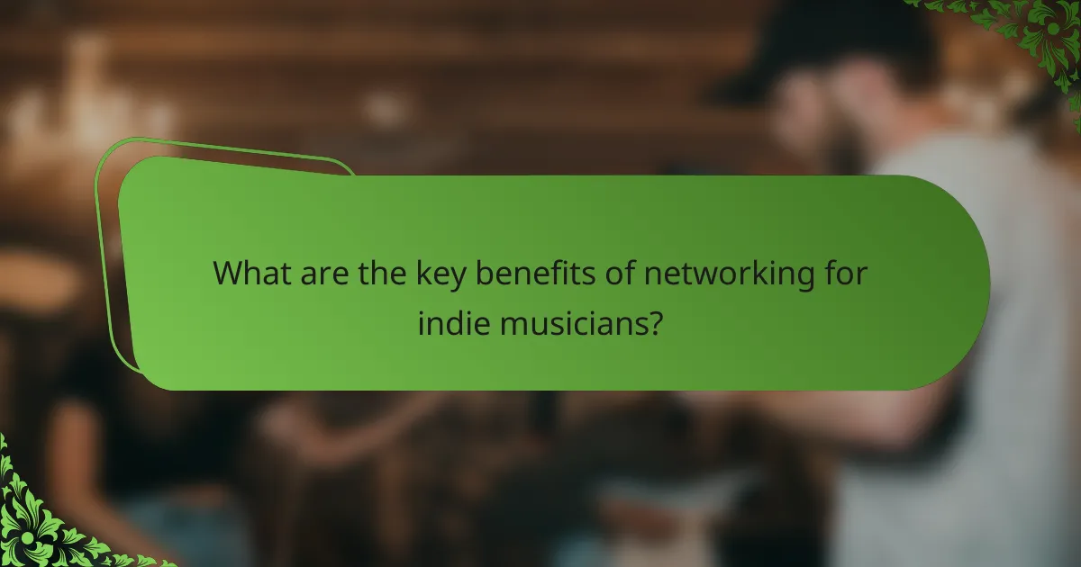 What are the key benefits of networking for indie musicians?