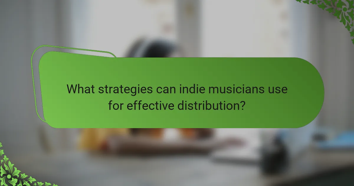 What strategies can indie musicians use for effective distribution?