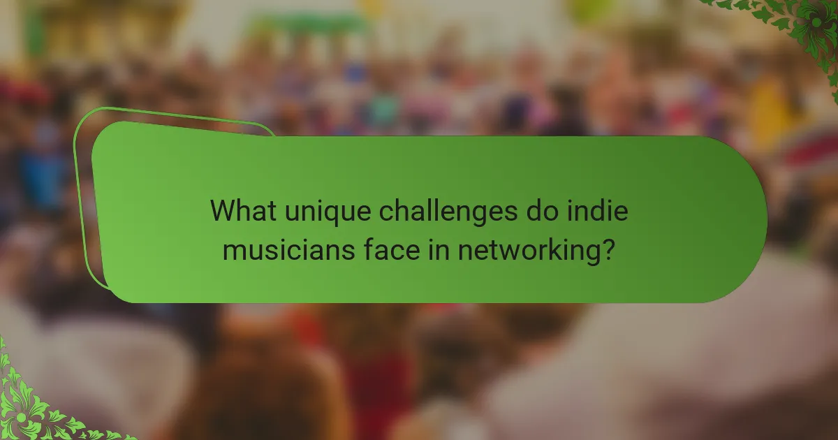 What unique challenges do indie musicians face in networking?