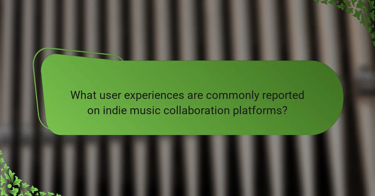 What user experiences are commonly reported on indie music collaboration platforms?